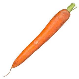 Carrot