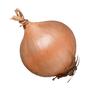 Onion