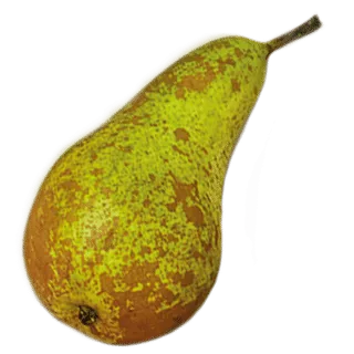 Pear