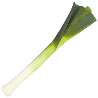 Leek