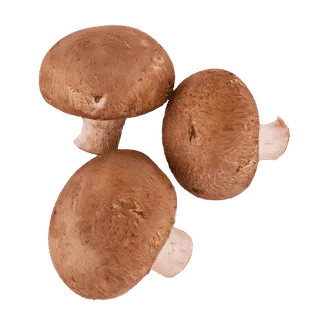 Mushrooms