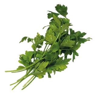 Flat-leaf parsley/chives